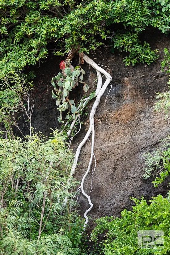 中国最大最年轻的火山岛,月薪1500元就能玩转?